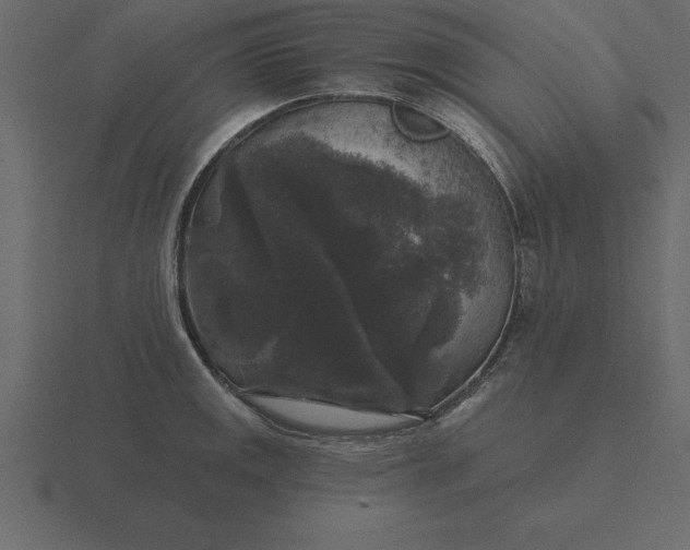 X0000116611141200912241728