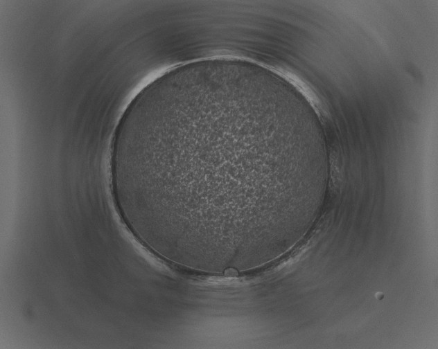 X0000116611142200912241728