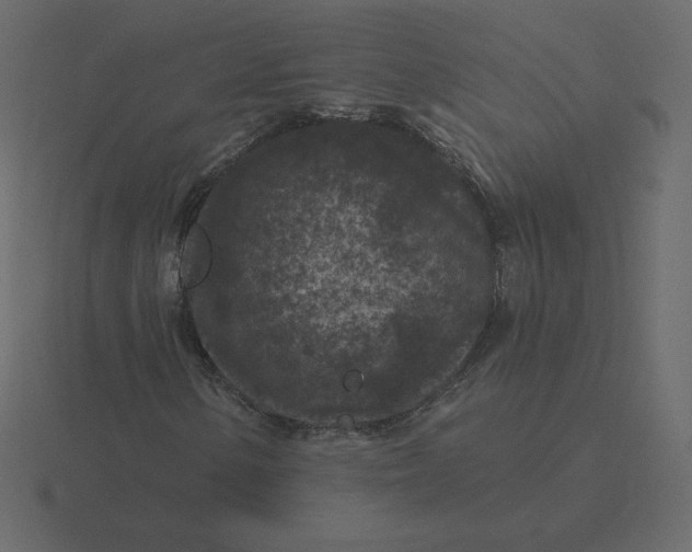 X0000116611154200912241728