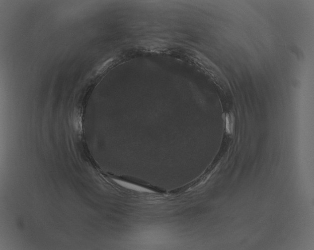 X0000116611155200912241728