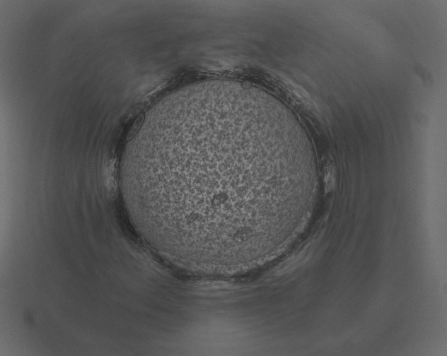 X0000116611156200912241728