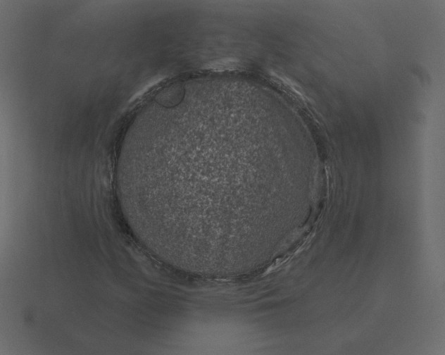 X0000116611158200912241728