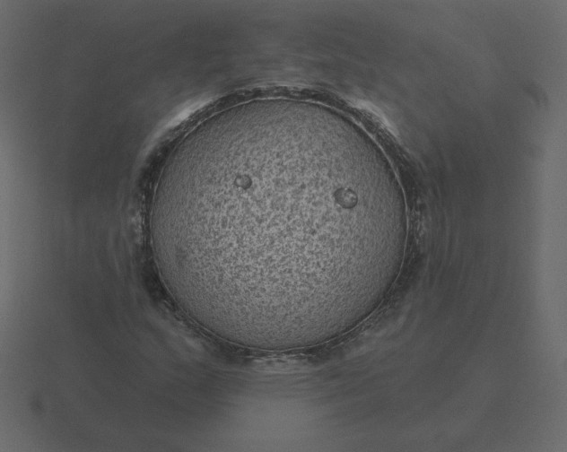 X0000116611159200912241728