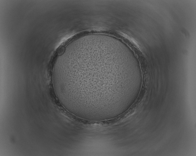 X0000116611160200912241728