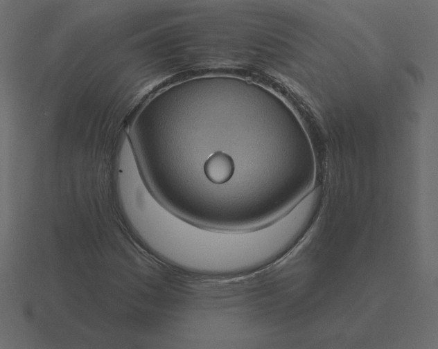 X0000116611161200912241728