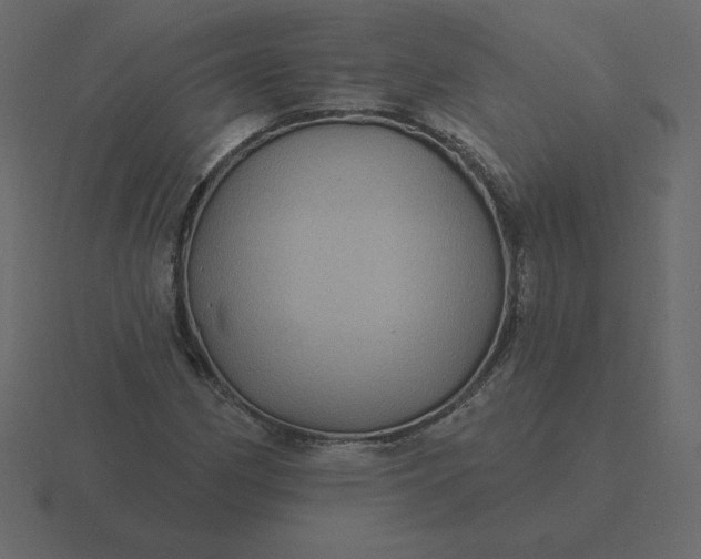 X0000116611162200912241728