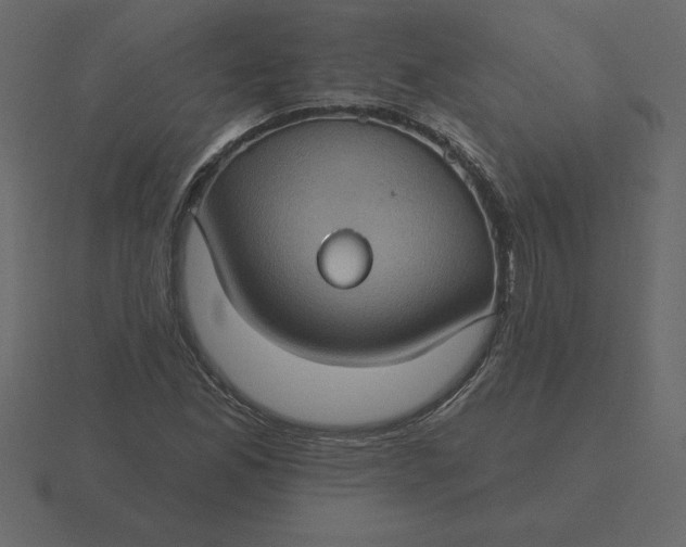 X0000116611165200912241727