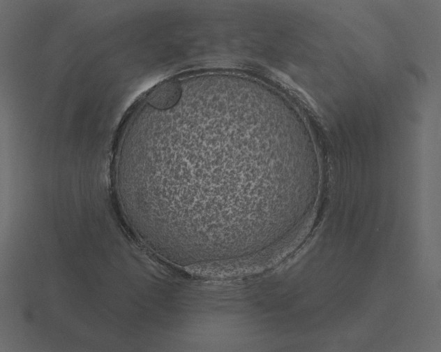 X0000116611166200912241727