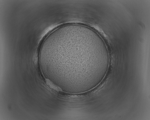 X0000116611167200912241727