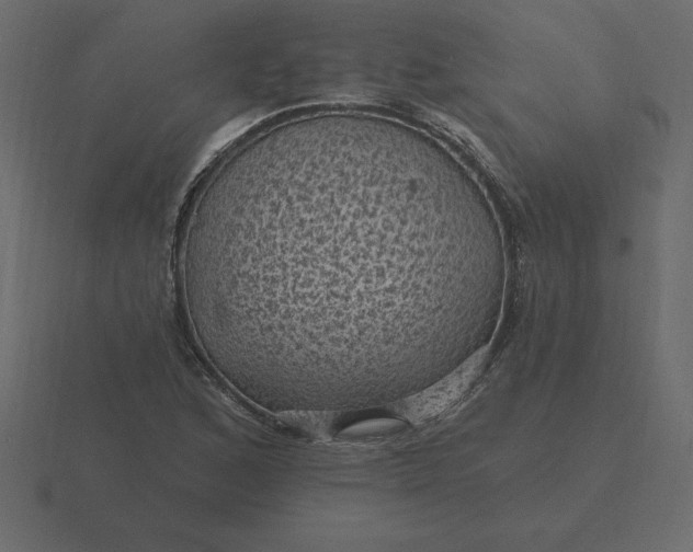 X0000116611168200912241727