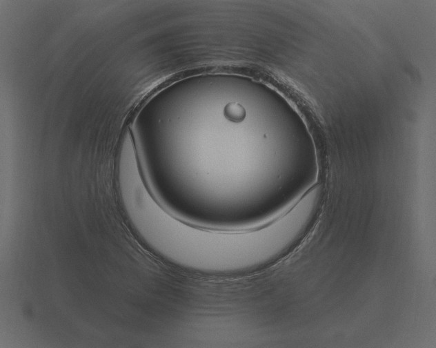 X0000116611169200912241727