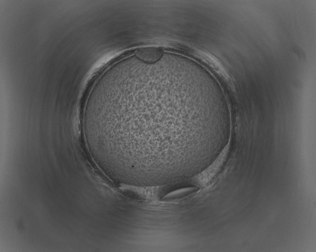 X0000116611172200912241727