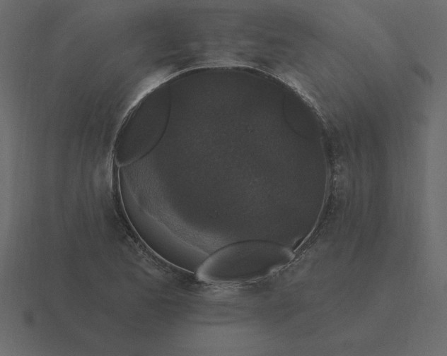 X0000116611173200912241727