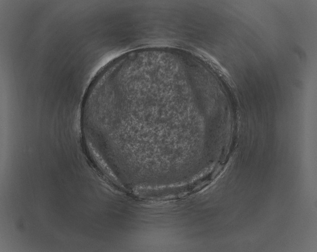 X0000116611174200912241727