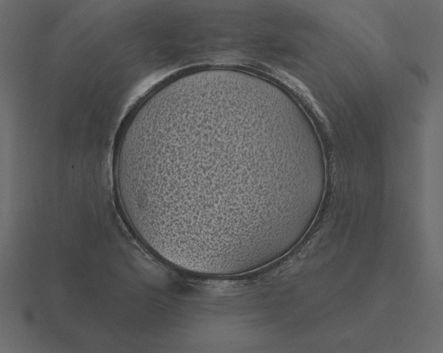 X0000116611176200912241727