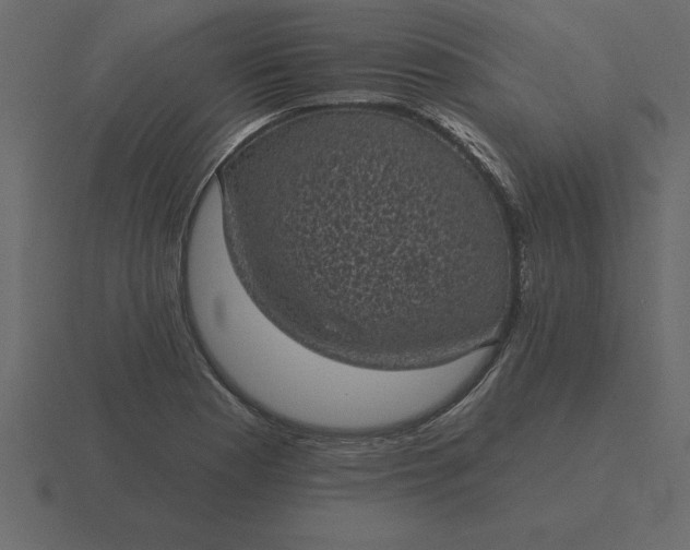 X0000116611177200912241727