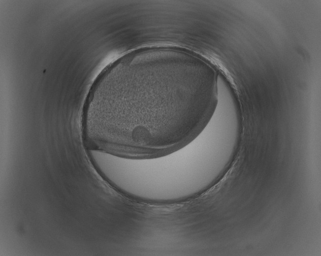 X0000116611181200912241727