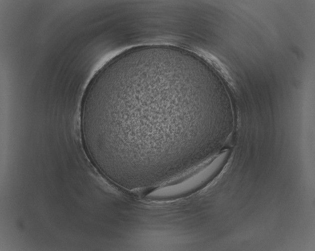 X0000116611184200912241727