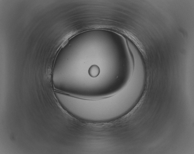 X0000116611185200912241727