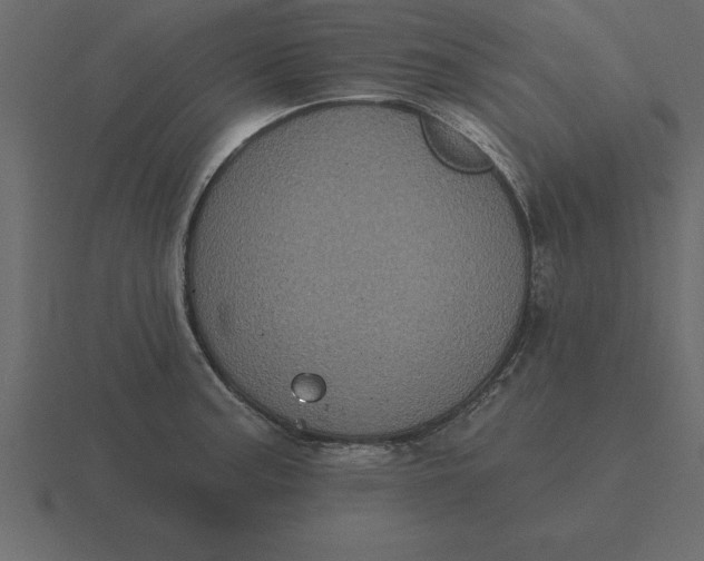 X0000116611187200912241727