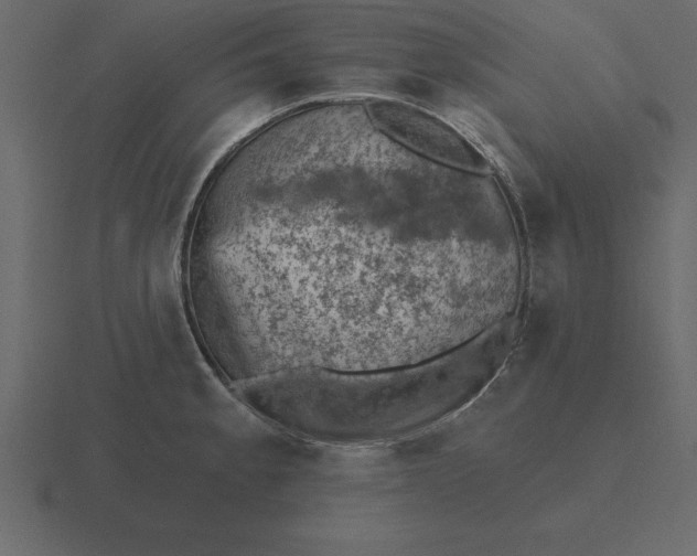 X0000116611189200912241727