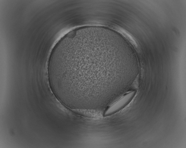 X0000116611192200912241727