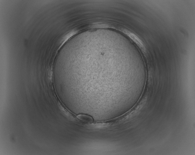 X0000116611193200912241727