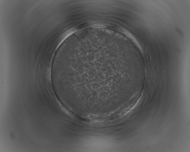 X0000116611194200912241727