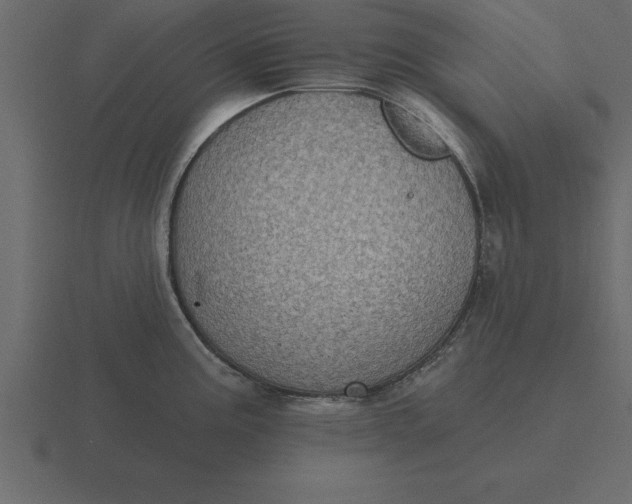 X0000116611195200912241727