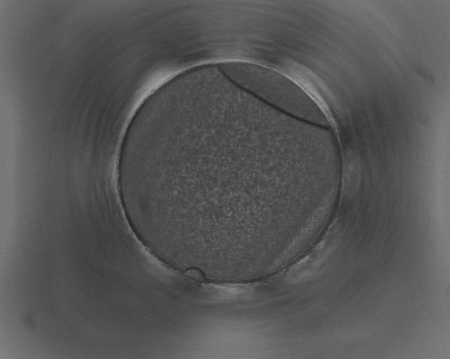 X0000116611197200912241727