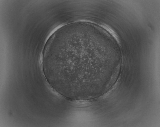 X0000116611198200912241727