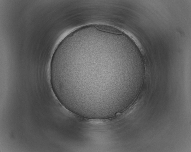 X0000116611199200912241727