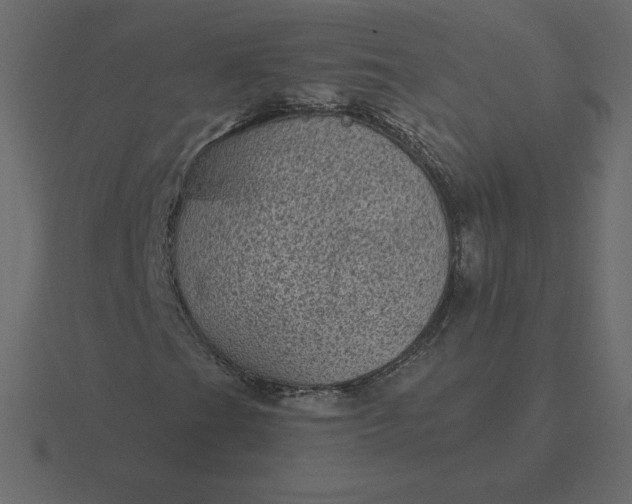 X0000116611201200912241726