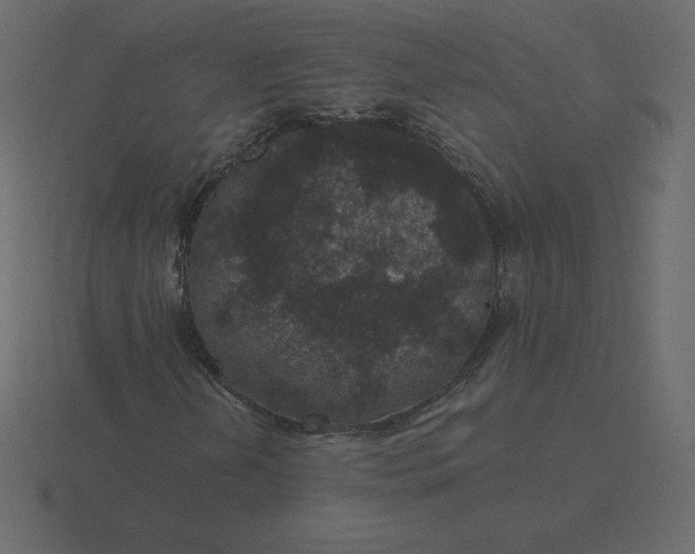 X0000116611202200912241726