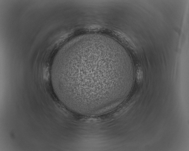 X0000116611204200912241726