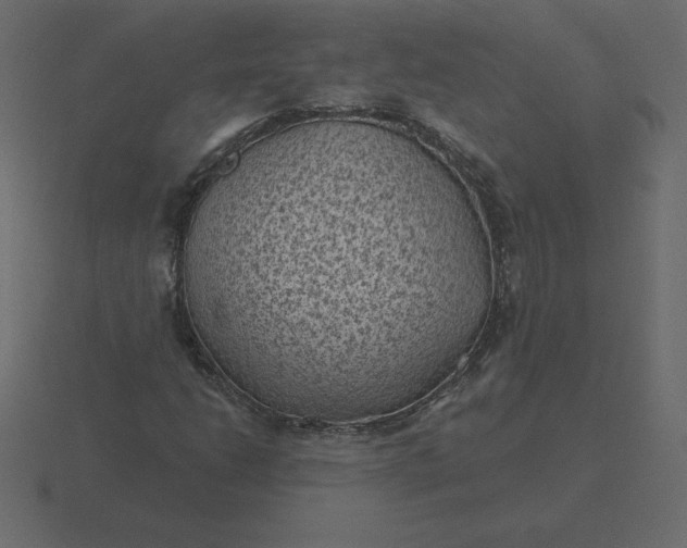 X0000116611206200912241727