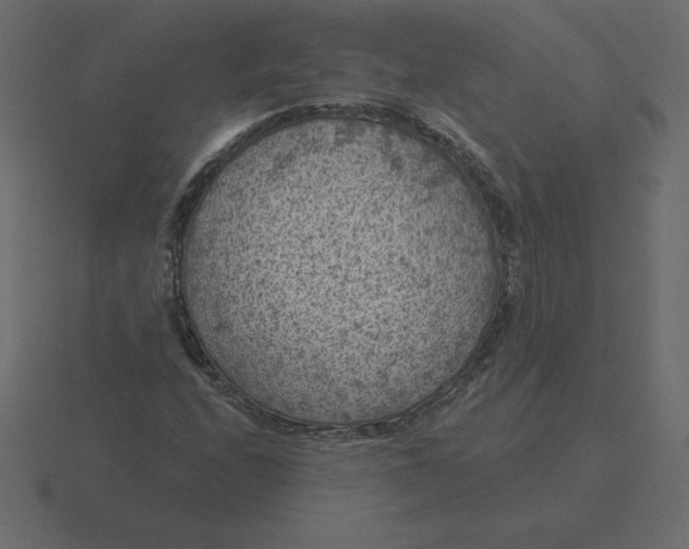 X0000116611208200912241727