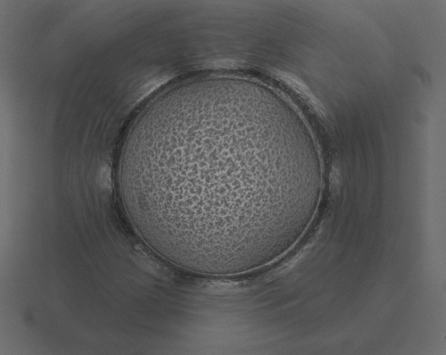 X0000116611209200912241727