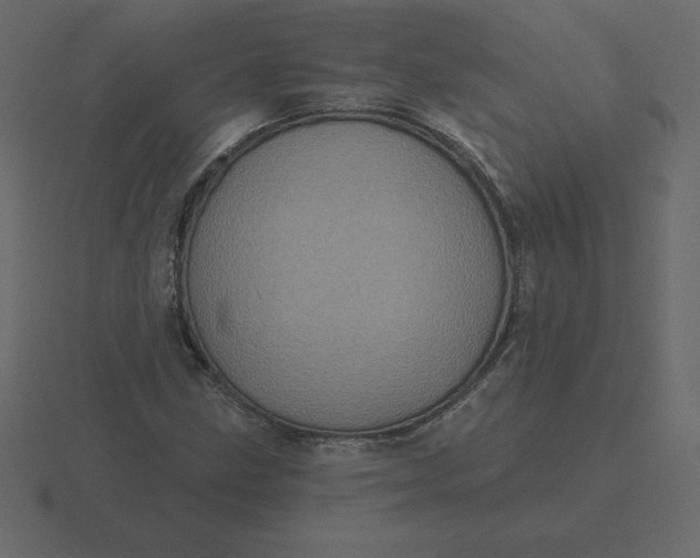 X0000116611211200912241727