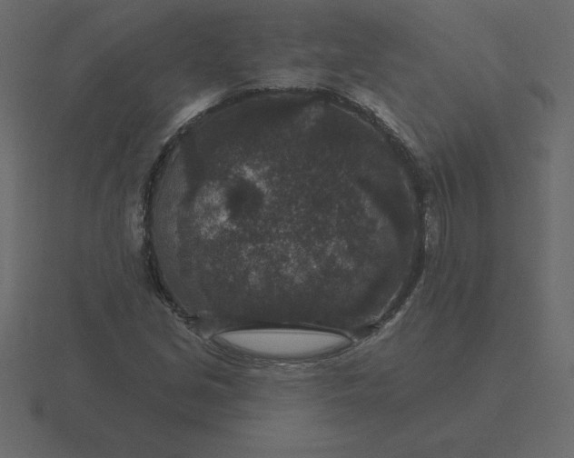 X0000116611213200912241727