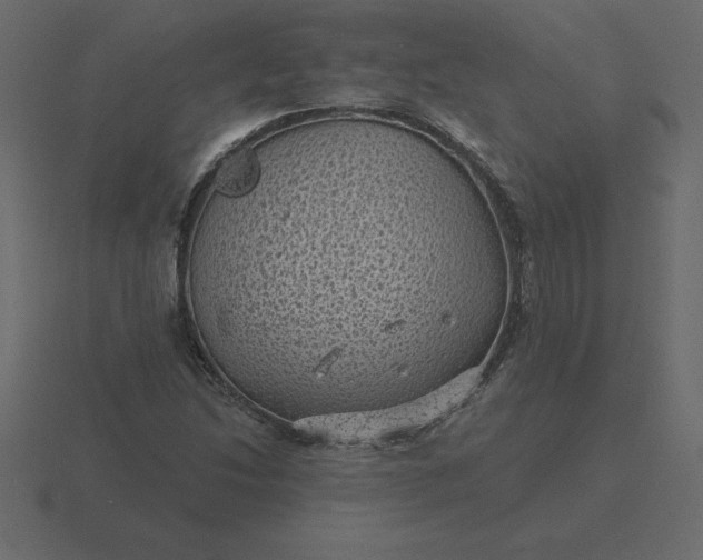 X0000116611214200912241727