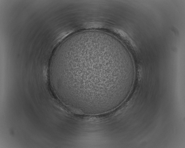 X0000116611217200912241727