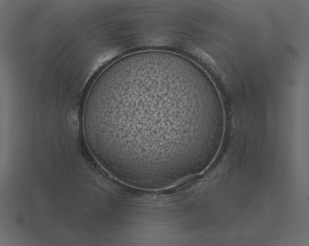 X0000116611218200912241727