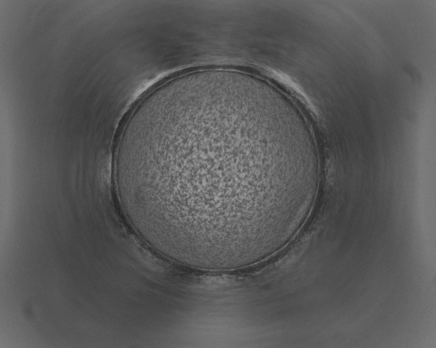 X0000116611220200912241727