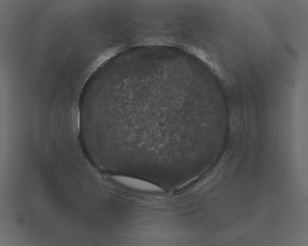 X0000116611221200912241727