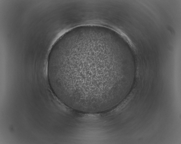 X0000116611224200912241727