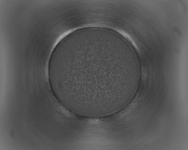 X0000116611230200912241727