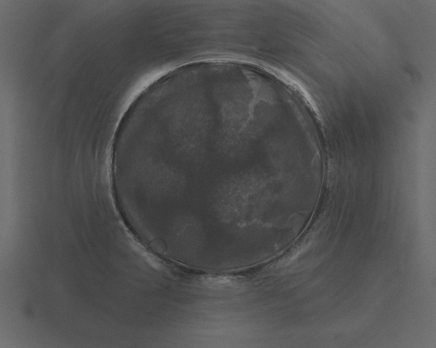 X0000116611231200912241727