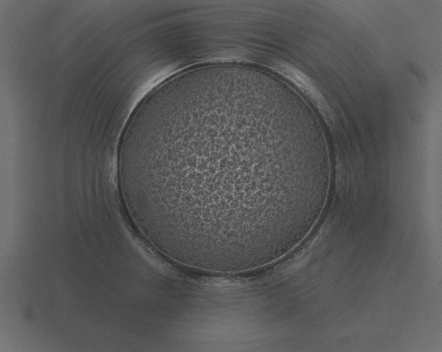 X0000116611234200912241727