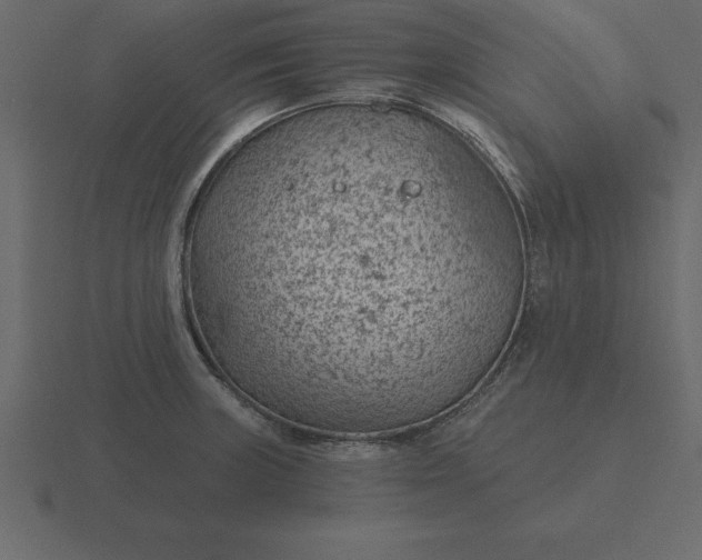 X0000116611235200912241727